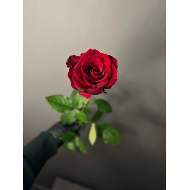 Эквадор Экспловер