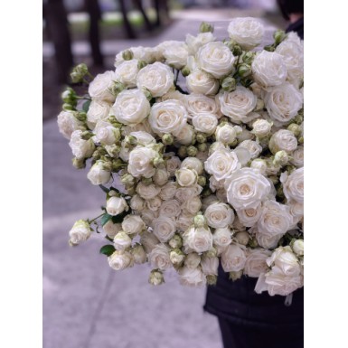 Пионовидная роза Бомбастик (белый)