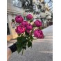 Мисти баблз пионовидная Ароматная