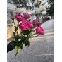 Мисти баблз пионовидная Ароматная