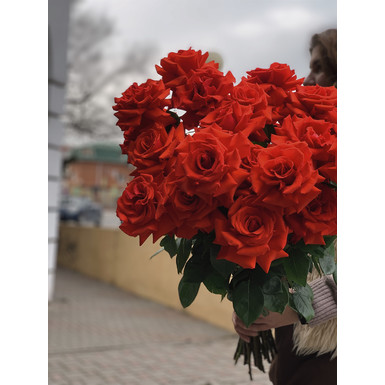 Французская роза Nina richi